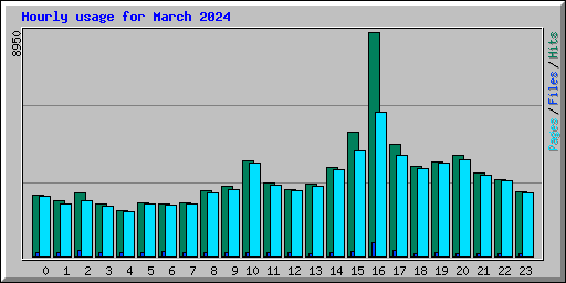 Hourly usage for March 2024