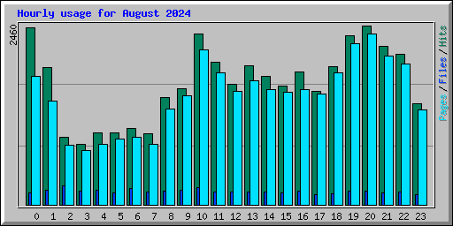 Hourly usage for August 2024