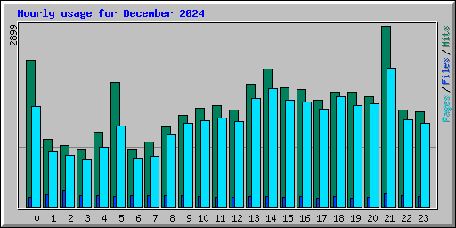 Hourly usage for December 2024