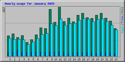 Hourly usage for January 2025