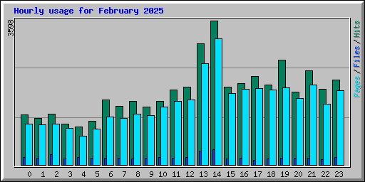 Hourly usage for February 2025