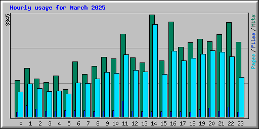 Hourly usage for March 2025