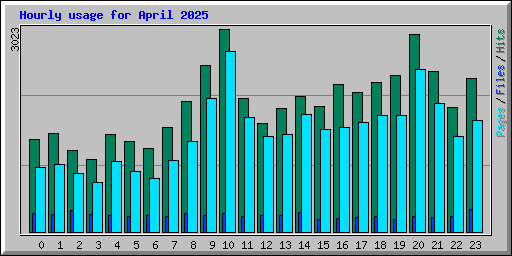 Hourly usage for April 2025