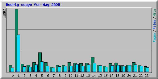 Hourly usage for May 2025