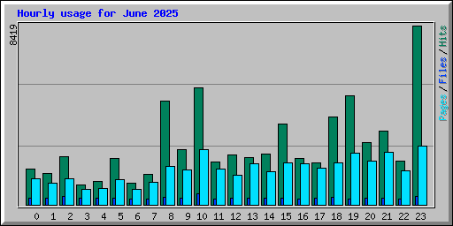 Hourly usage for June 2025