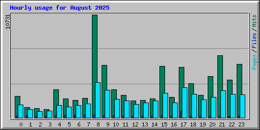 Hourly usage for August 2025