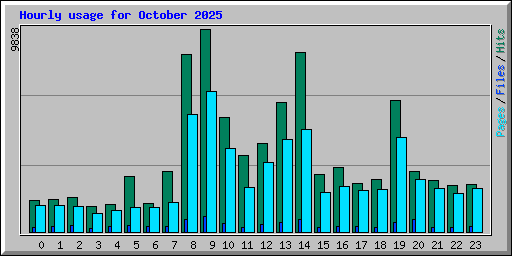 Hourly usage for October 2025
