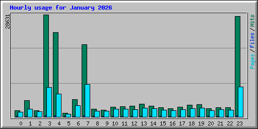 Hourly usage for January 2026