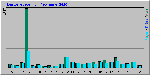 Hourly usage for February 2026